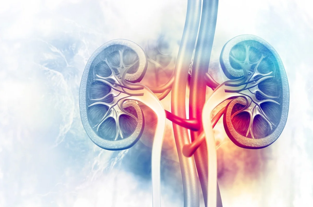 Ekran-goruntusu-2025-04-06-153821-1024x679 🩺 What is Nephropathy (Kidney Disease)?